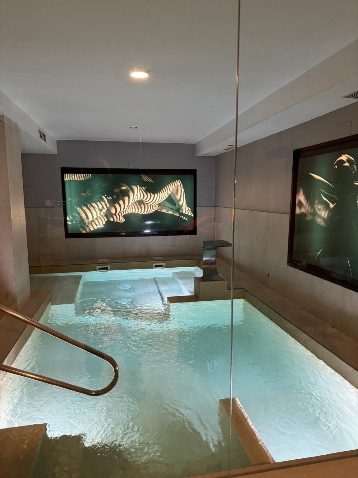 Zona exterior junto a piscina y vegetación